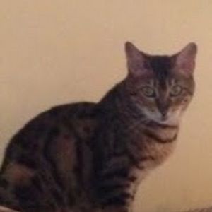 Meet your Posher, Abby